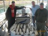 (10/25/2014) - Nice Striped Bass